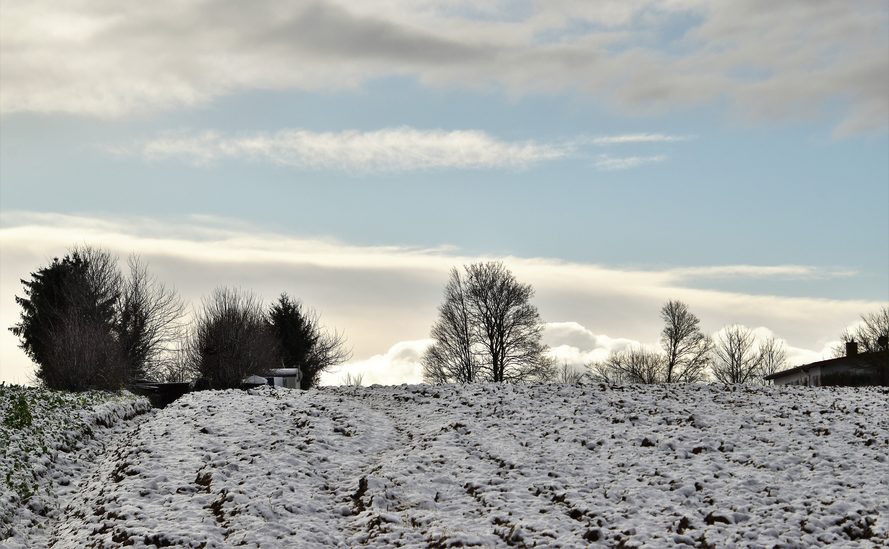 Strahlender Sonnenschein &