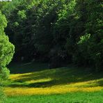 Strahlender Sonnenschein haben wir