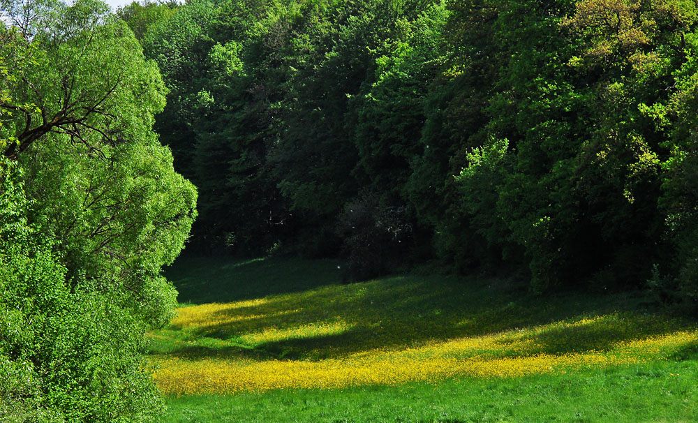 Strahlender Sonnenschein haben wir