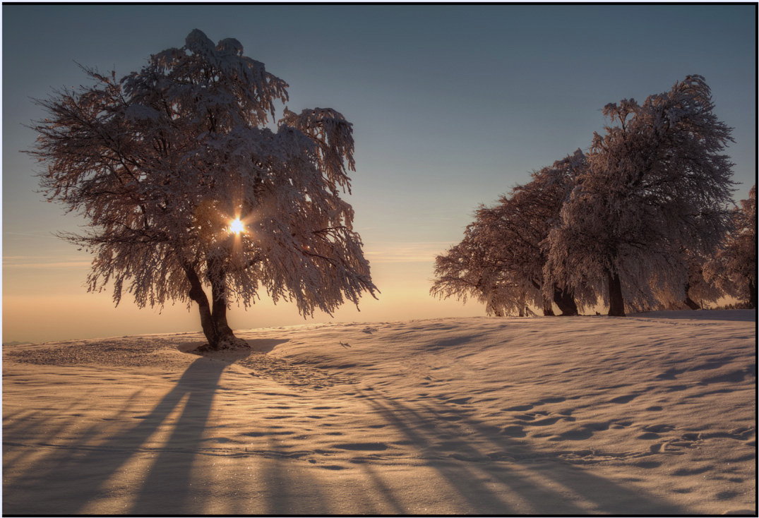 Strahlender Sonnentag....