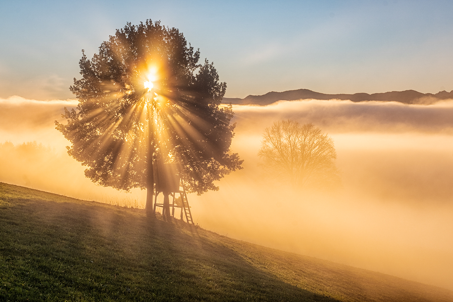 strahlender sonntagmorgen