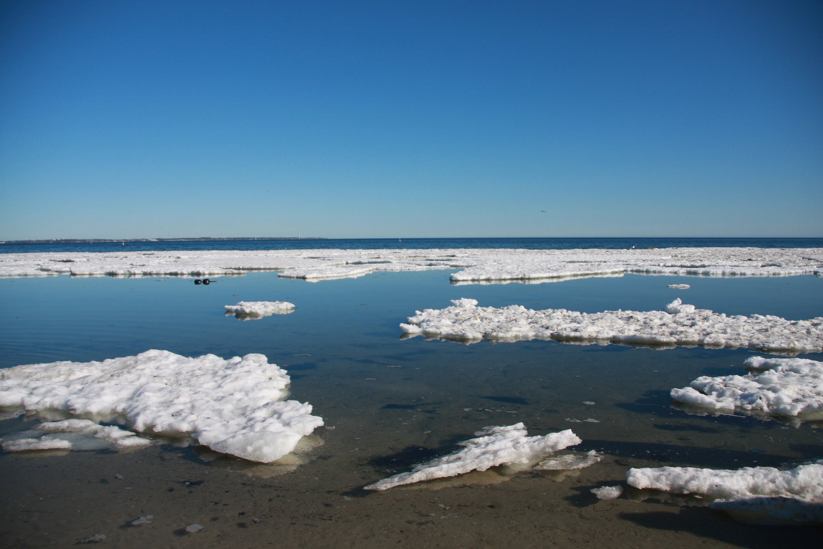 strahlender vorfrühling am meer