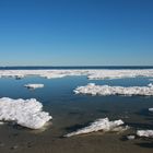 strahlender vorfrühling am meer