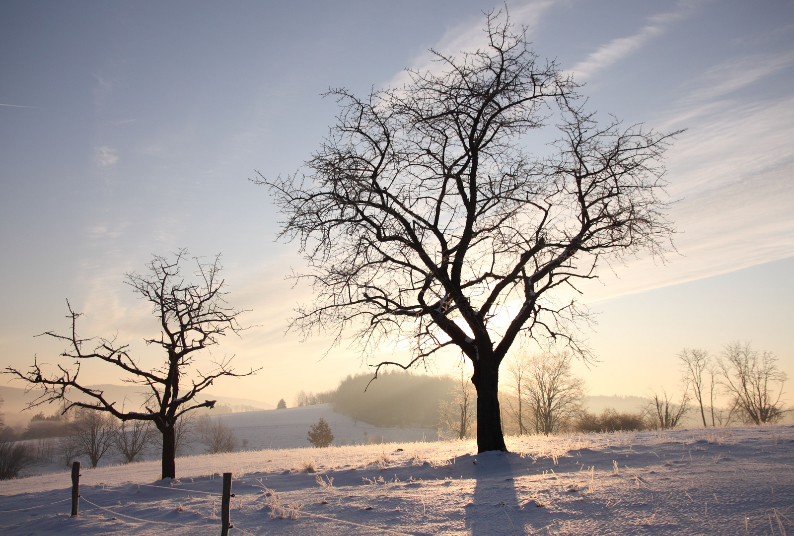 Strahlender Winter