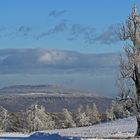 Strahlender Winter auf der Nollendorfer Höhe mit Blick zum Hohen Schneeberg...