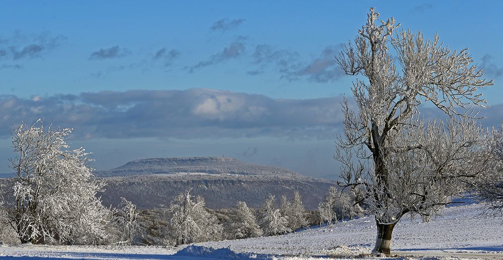 Strahlender Winter auf der Nollendorfer Höhe mit Blick zum Hohen Schneeberg...