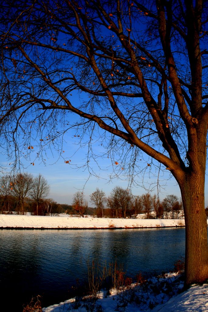 strahlender Winter