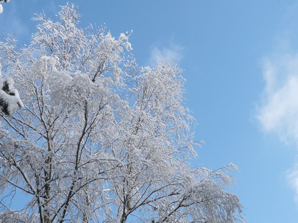 strahlender Winter