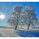 Strahlender Wintertag 