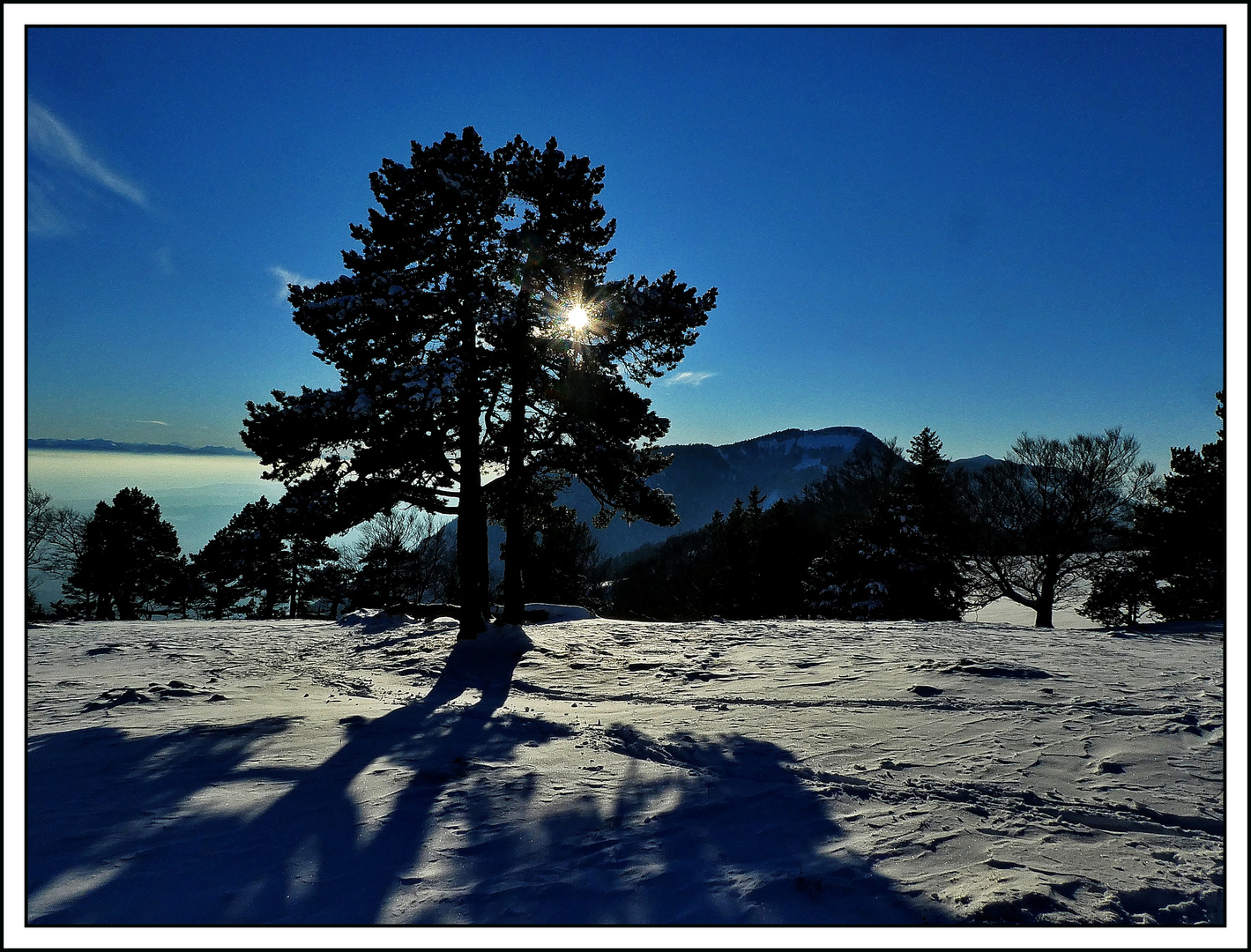 Strahlender Wintertag I