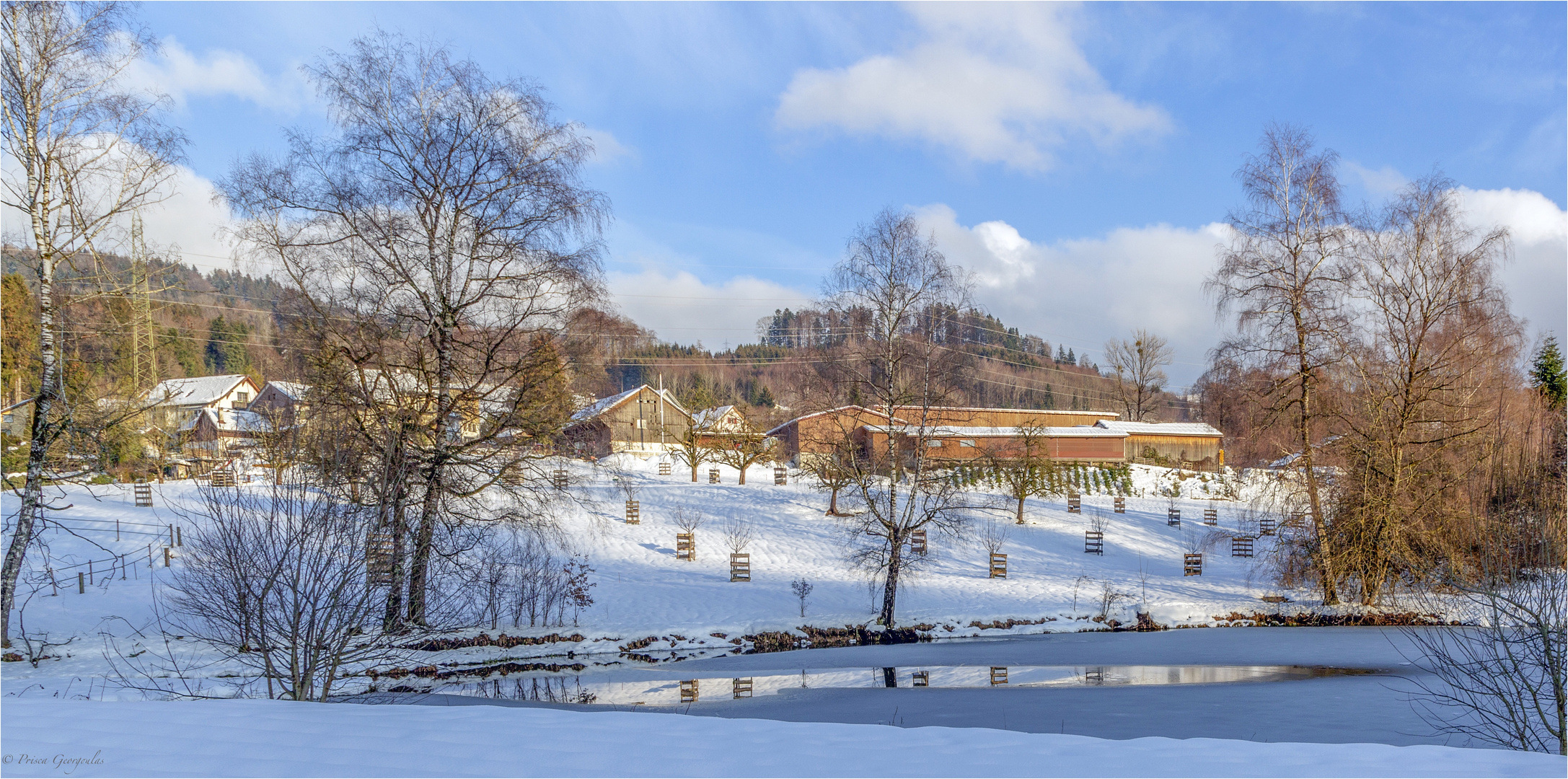 Strahlender Wintertag im Weiler Ringwil