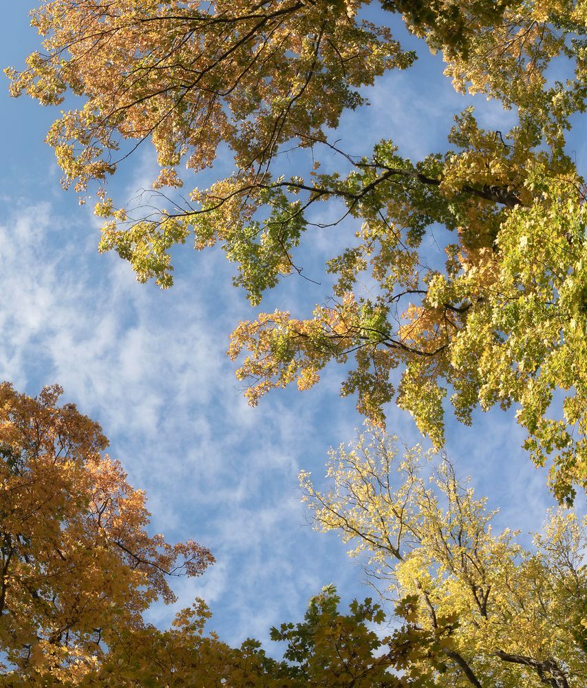 strahlendes Herbstwetter