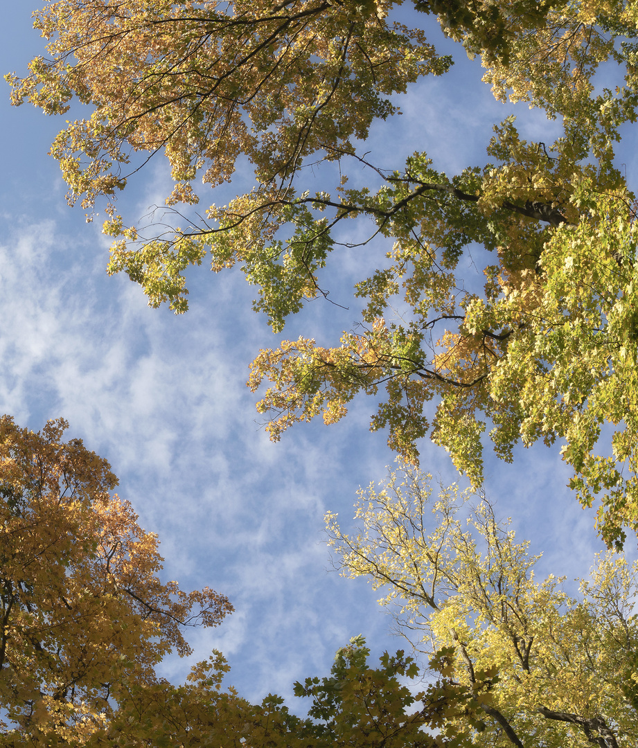 strahlendes Herbstwetter