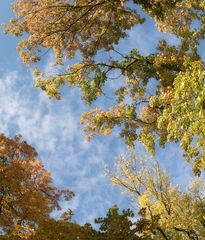 strahlendes Herbstwetter