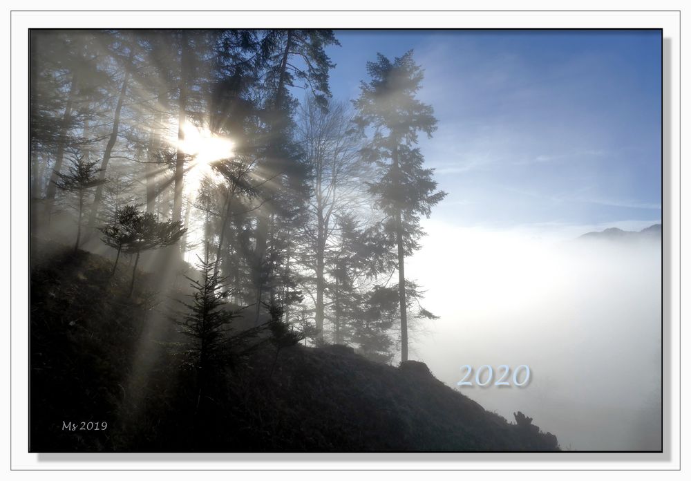Jahresende Bilder 2025 Daffy Muffin