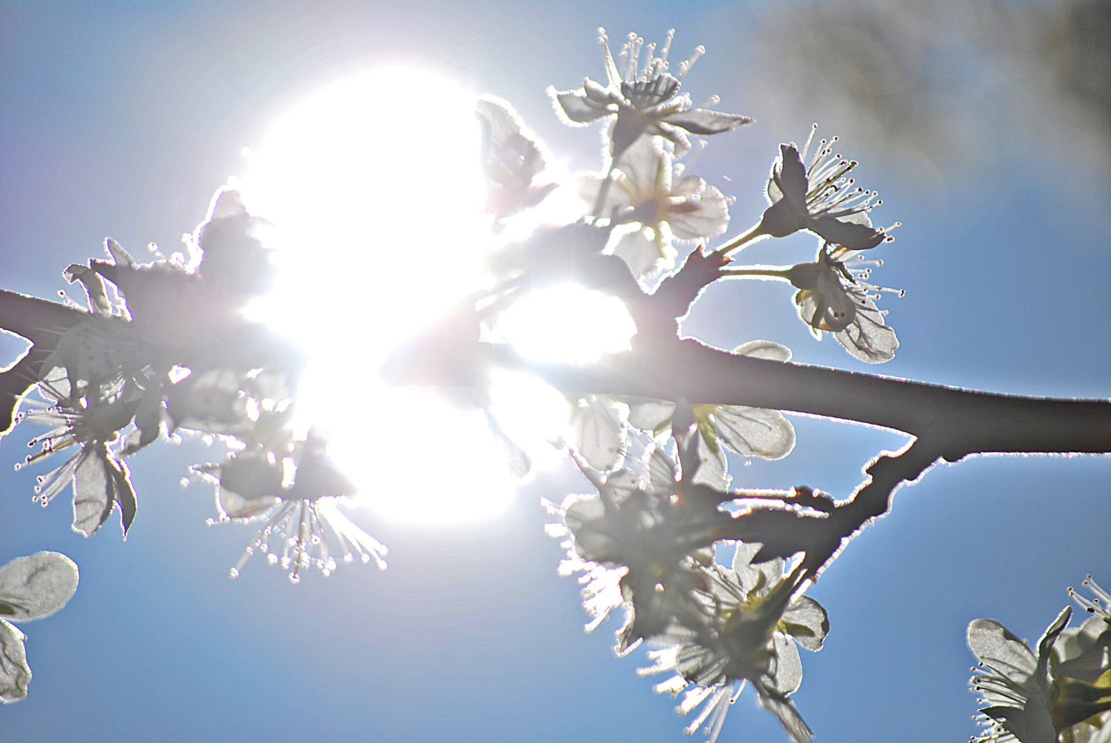 strahlendes Ostern...