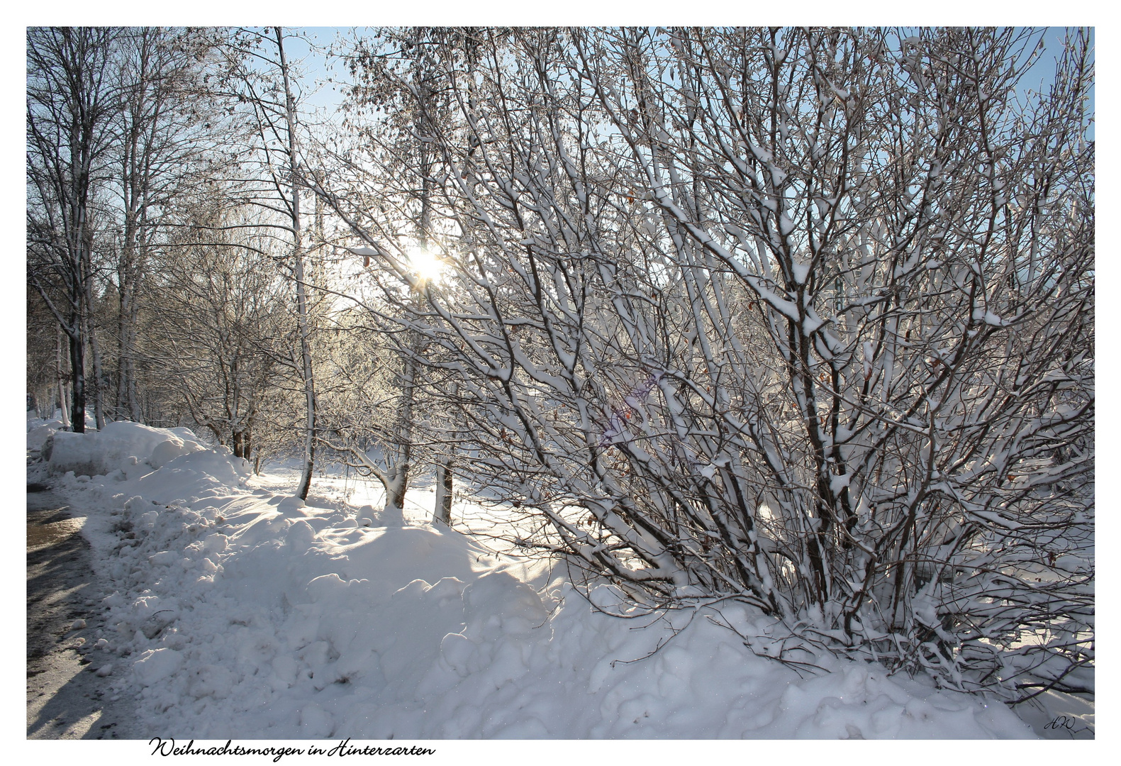 Strahlendes Weihnachtswetter