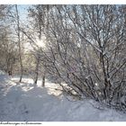 Strahlendes Weihnachtswetter