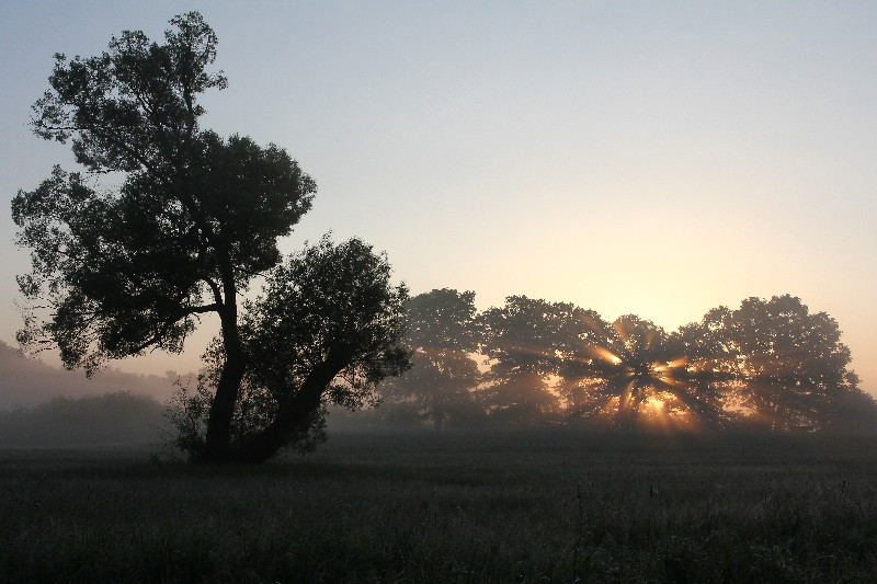 Strahlenlicht