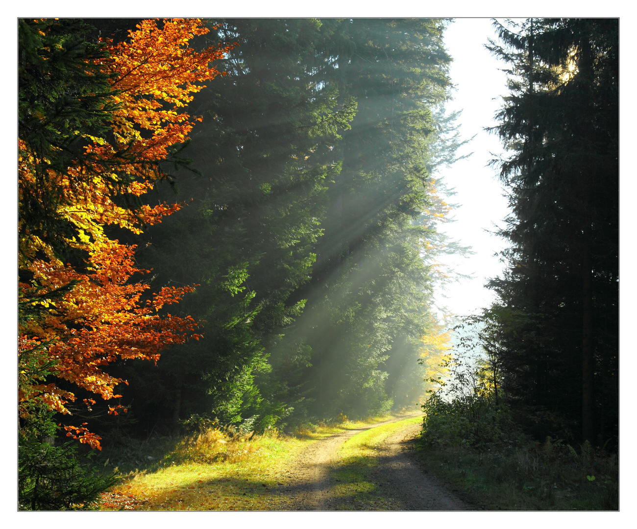 strahlenweg...