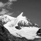 Strahlhorn und Adlerhorn