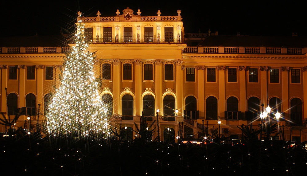 Strahlkraft in Schönbrunn