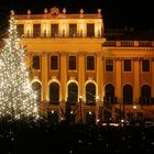 Strahlkraft in Schönbrunn