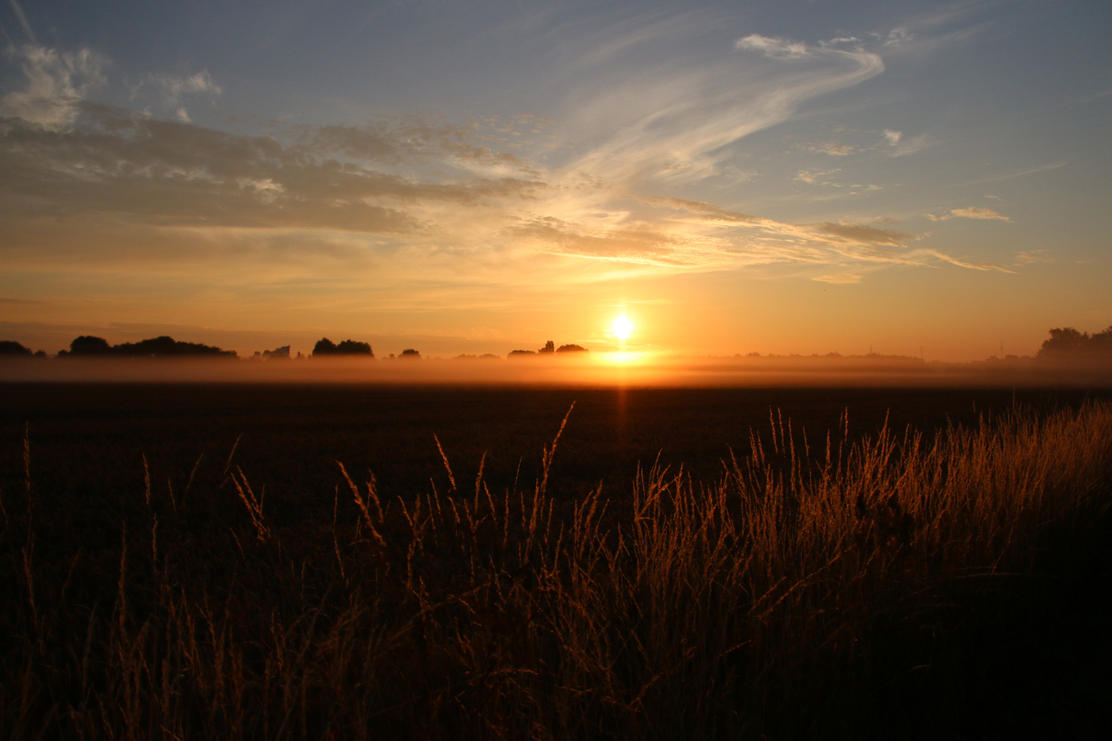 Strahlungsnebel beim Sonnenaufgang in Lindental bei Leipzig