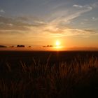 Strahlungsnebel beim Sonnenaufgang in Lindental bei Leipzig