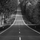 Straight Road in BW