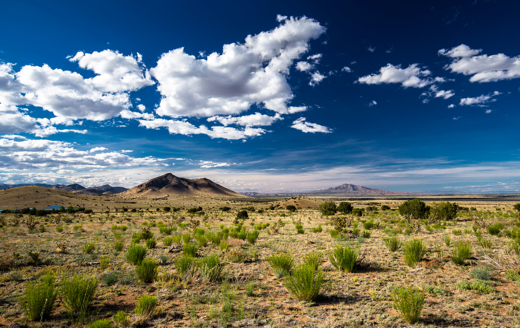 Straight Through New Mexico