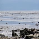 Strait of Juan de Fuca, BC