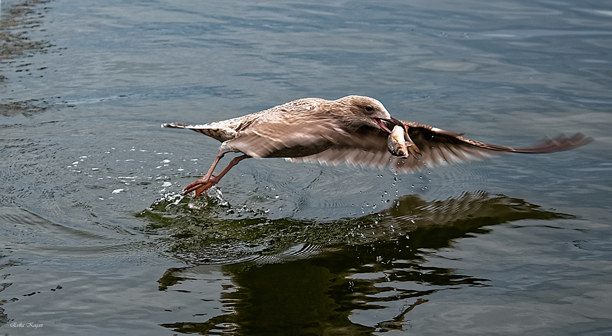 Stralsund