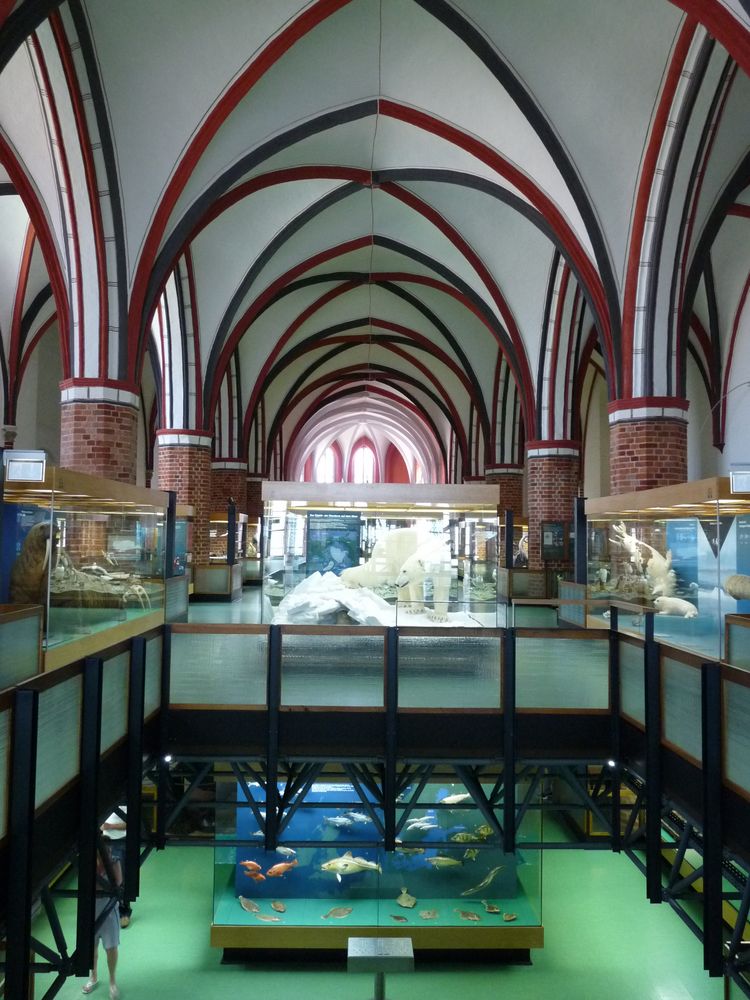 Stralsund 2 - Meeresmuseum