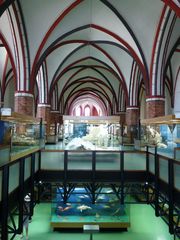 Stralsund 2 - Meeresmuseum