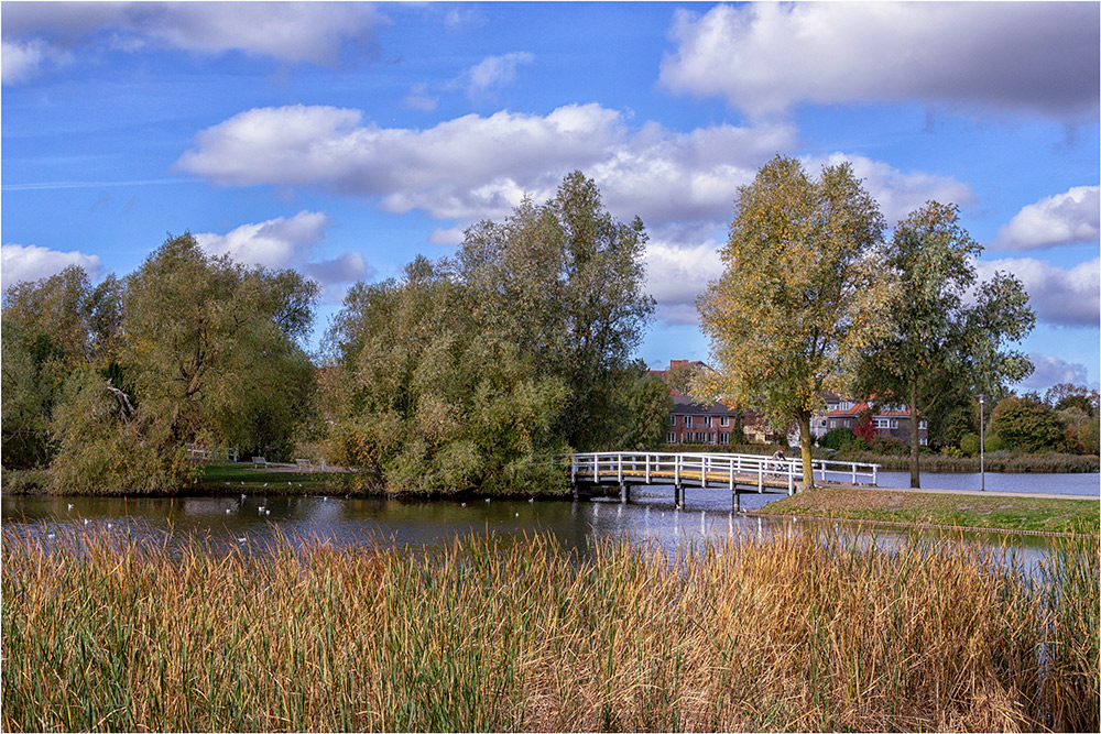 Stralsund Foto & Bild landschaft, garten