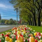 Stralsund - An der Sundpromenade...