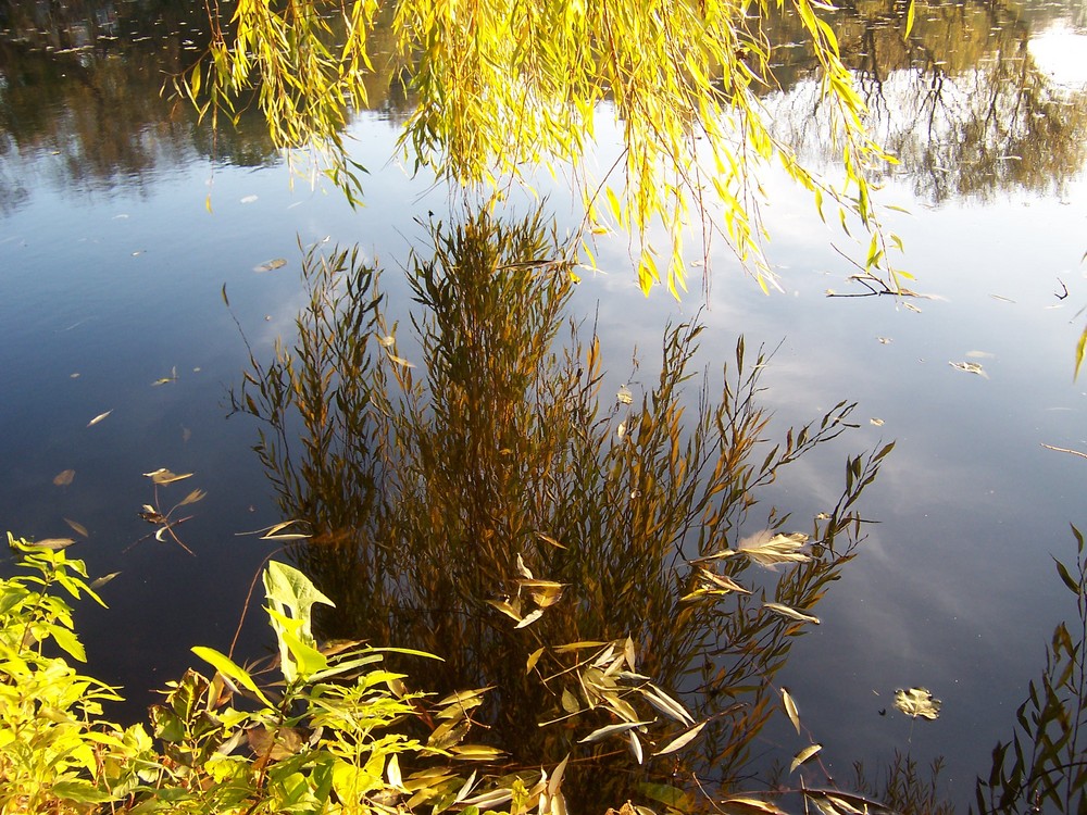 Stralsunder Herbst