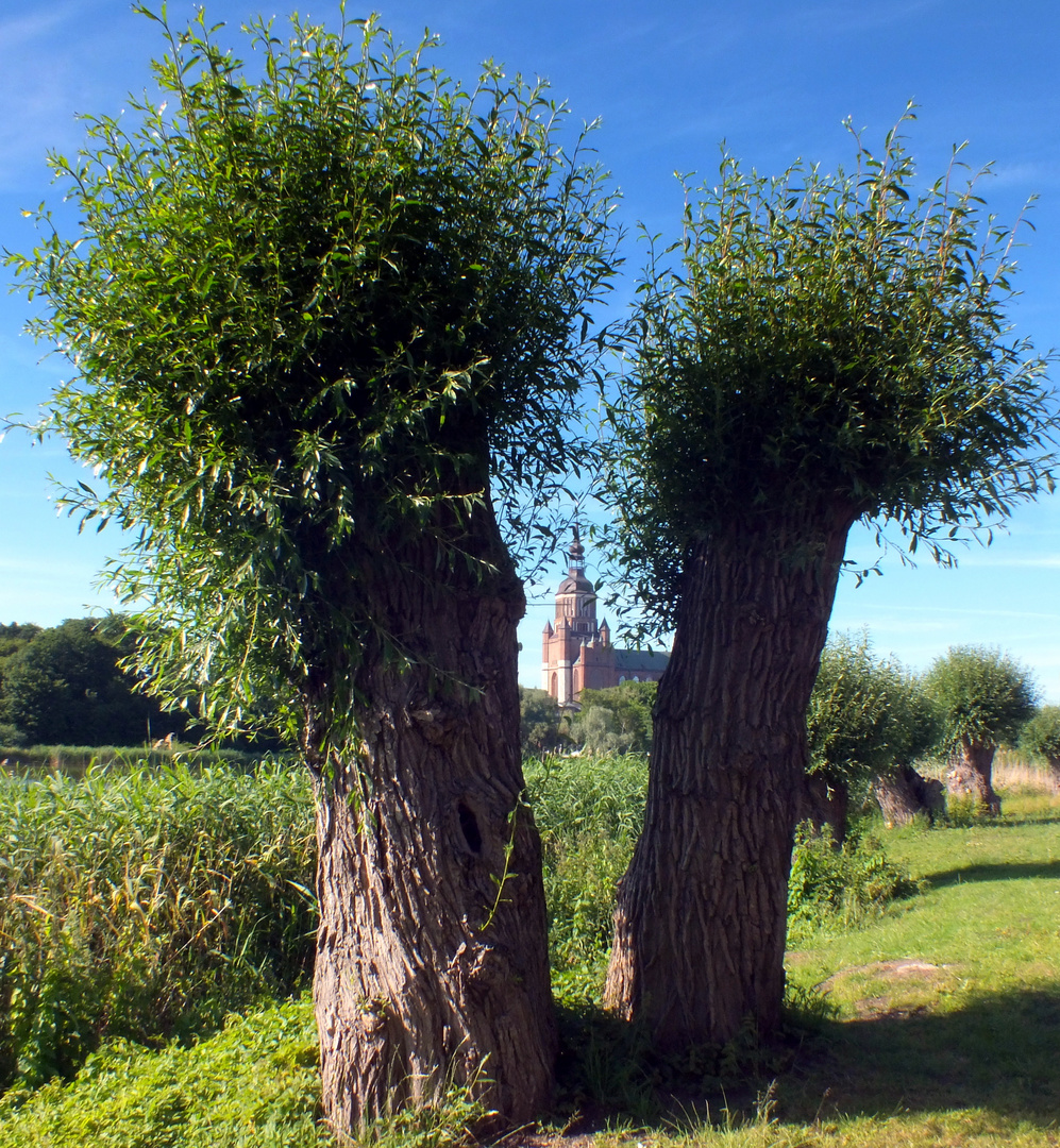 Stralsund's Dicke Marie eingeklemmt