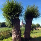 Stralsund's Dicke Marie eingeklemmt