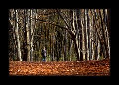 Strammer Waldspaziergang im Herbst mit blauen Socken