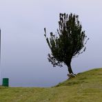 Strammer Wind  in Böhmen