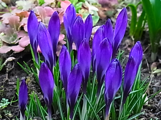 Strammgestanden und so schön blau