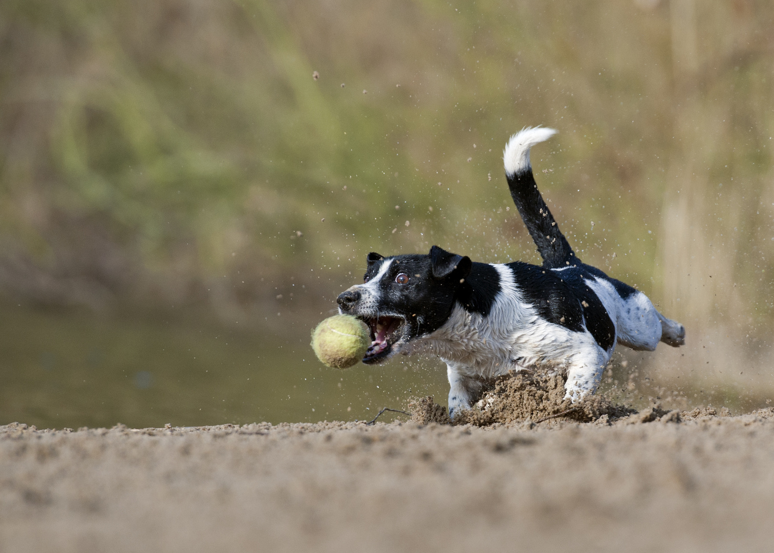 Strand-Action