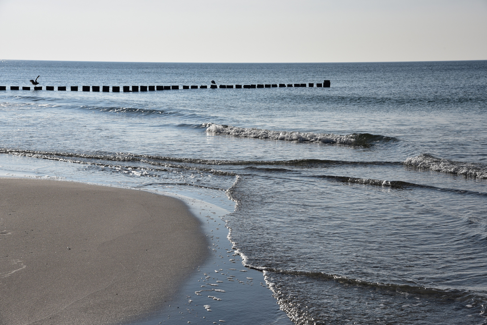 Strand Ahrenshoop