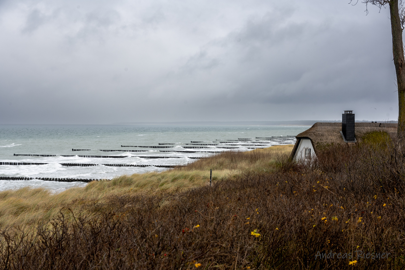 Strand Ahrenshoop