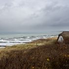 Strand Ahrenshoop