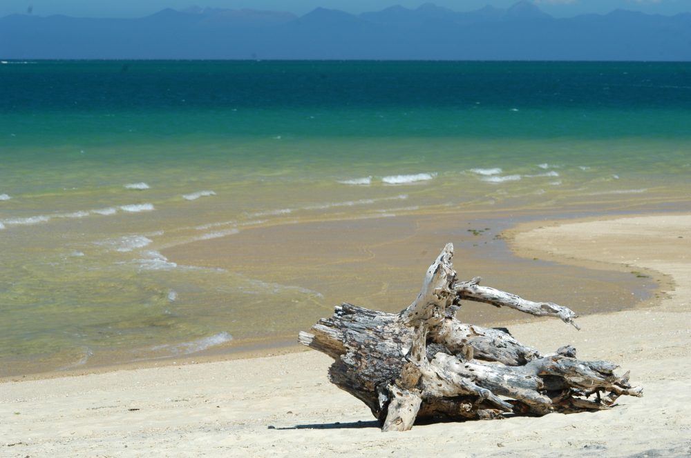 Strand am Abel Tasman NP