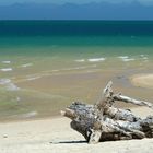 Strand am Abel Tasman NP