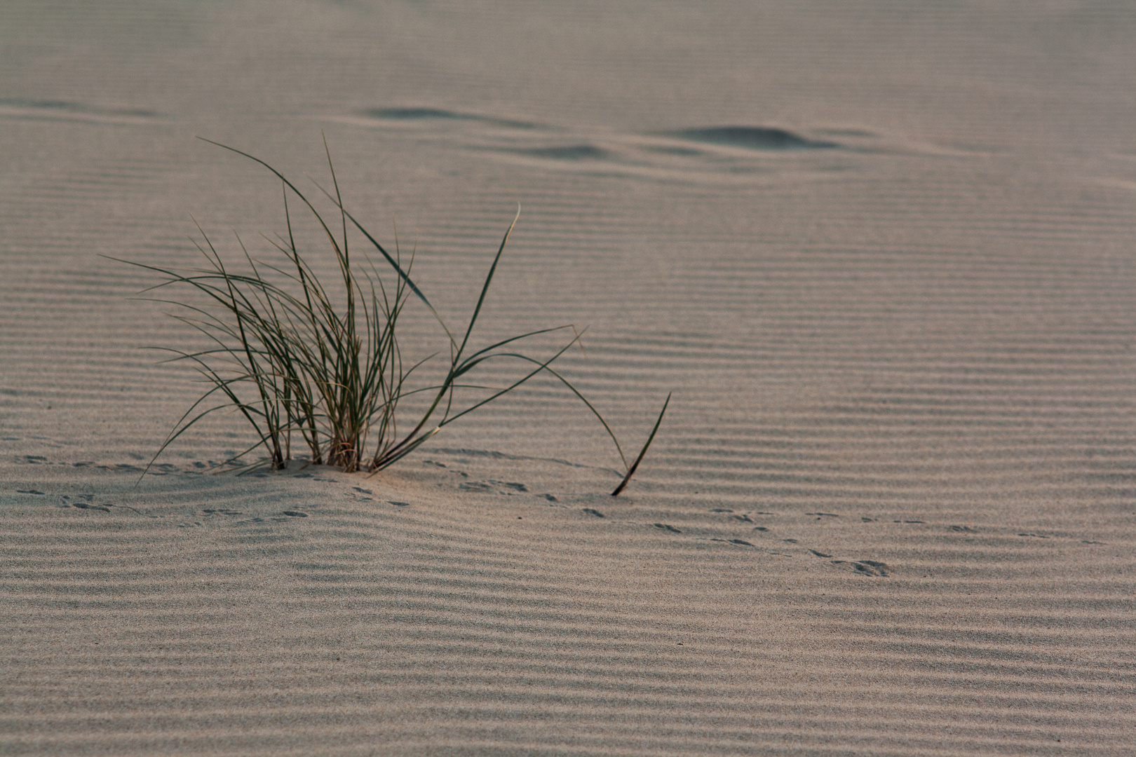 Strand am Abend